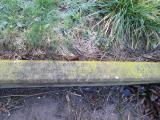 image of grave number 371601
